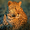 Image to render Image to render