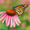 Image to render Image to render