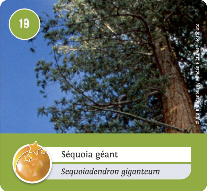 vegetaux-Orange vegetaux-Orange