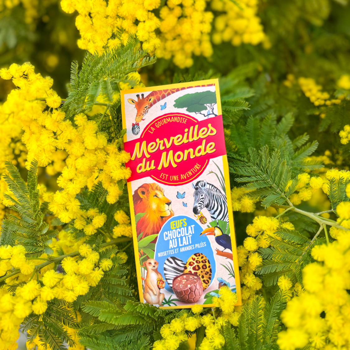 
                  
                    Boite pincée mini-oeufs de pâques Merveilles du Monde
                  
                