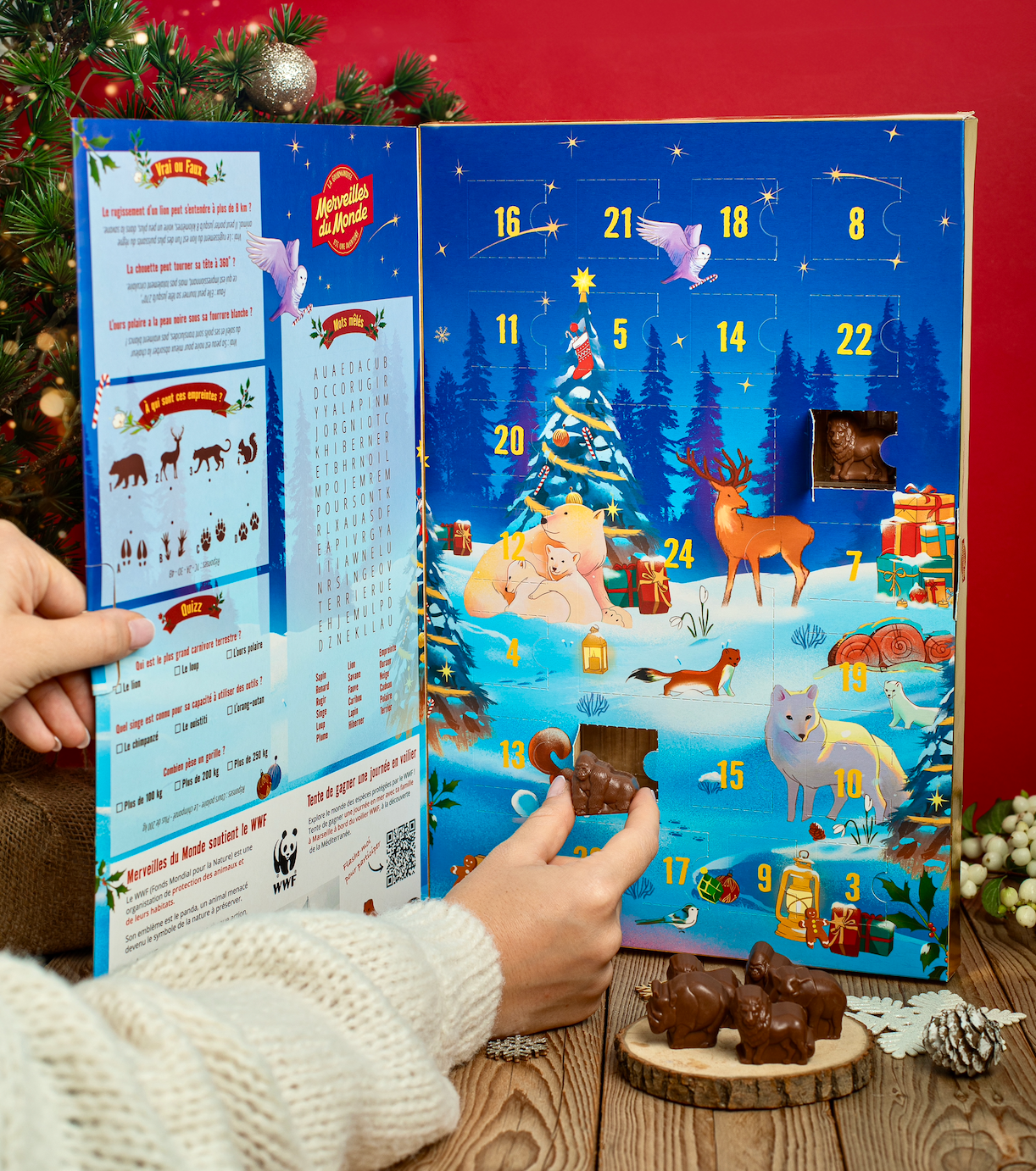 
                  
                    Un calendrier magique dans lequel se trouve une page de jeux et d'apprentissage. 
                  
                