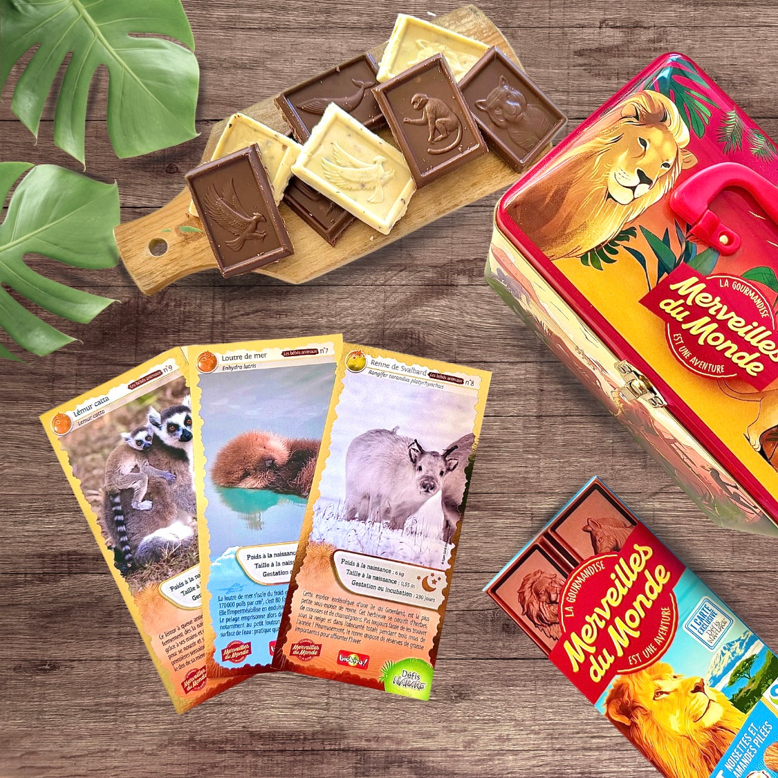 
                  
                    Nouvelles cartes collector Merveilles du Monde série numéro 3
                  
                