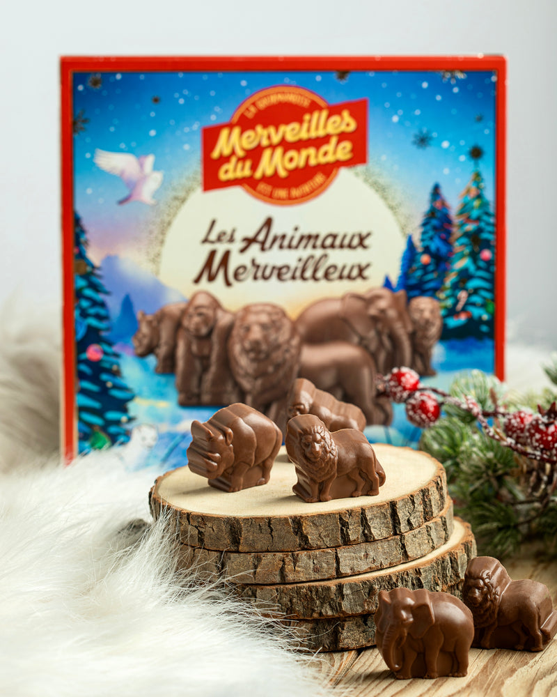 
                  
                    Un sublime coffret de Noël qui saura enchanter vos fêtes de fin d'années grâce à ses 12 bouchées chocolatées. 
                  
                