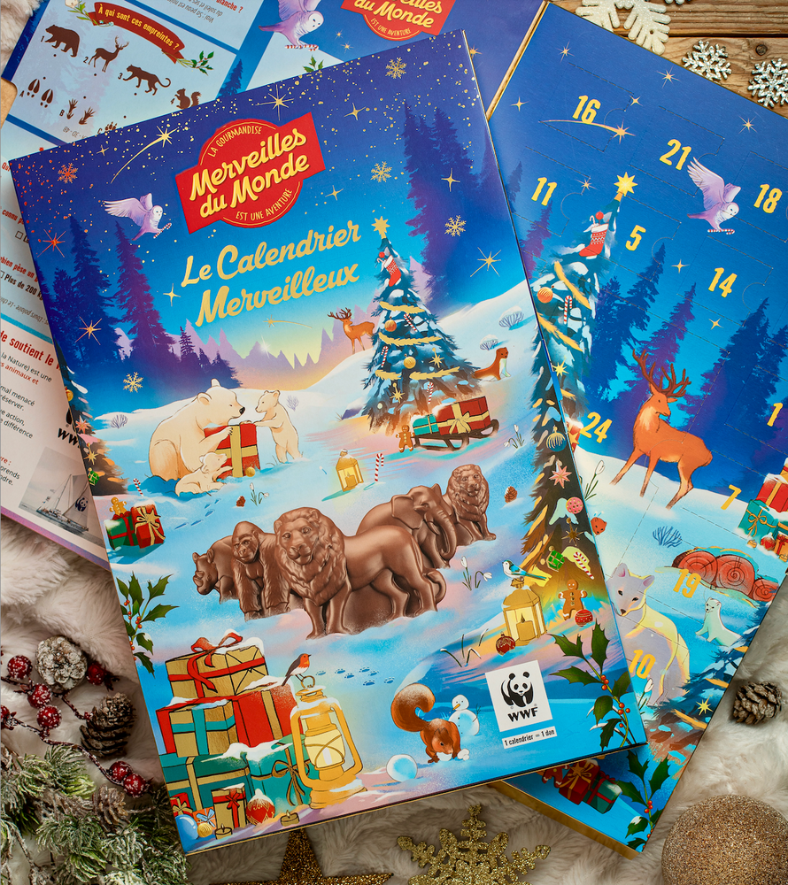 Un magnifique calendrier merveilleux de 24 cases pour patienter jusqu'à Noël