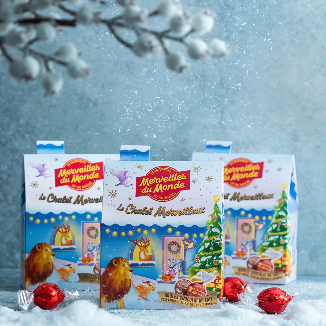 
                  
                    Entrez dans la magie des fêtes avec notre Chalet Merveilleux ! Sous son toit se cachent de délicieuses boules de chocolat au lait au cœur fondant, parsemé d’éclats croquants de noisettes et d’amandes. 
                  
                