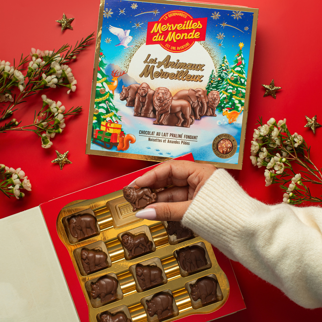 Lion, gorille, éléphant ou rhinocéros… Le coffret Les Animaux Merveilleux fait entrer le monde sauvage dans les fêtes de Noël !