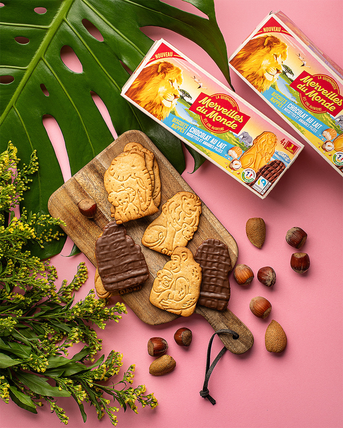 
                  
                    Biscuits nappés Merveilles du monde.
                  
                