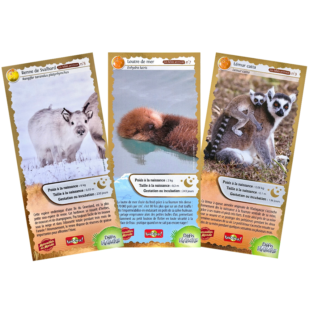 Nouvelle cartes collector Merveilles du Monde série numéro 3, loutre, lémur catta et renne 
