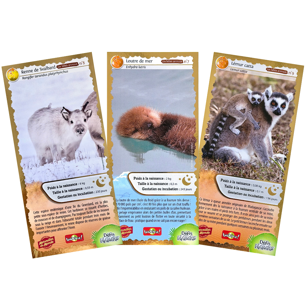 Nouvelle cartes collector Merveilles du Monde série numéro 3, loutre, lémur catta et renne 
