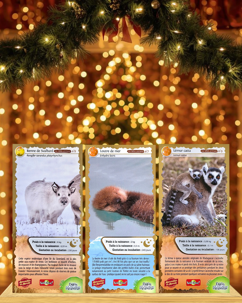 La nouvelle collection série 3 des cartes collector Merveilles du Monde. 