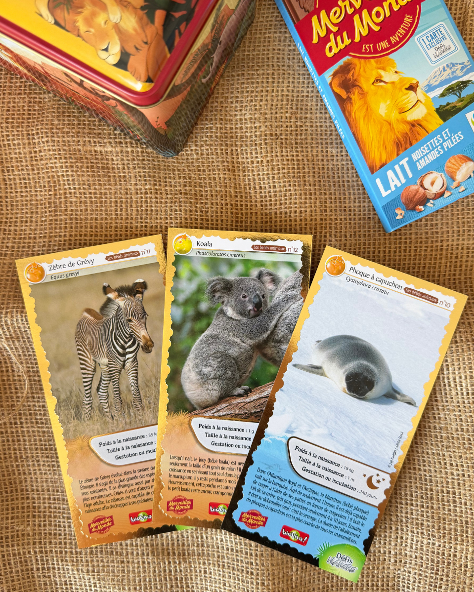 
                  
                    La nouvelle collection série 4 des cartes collector Merveilles du Monde. 
                  
                