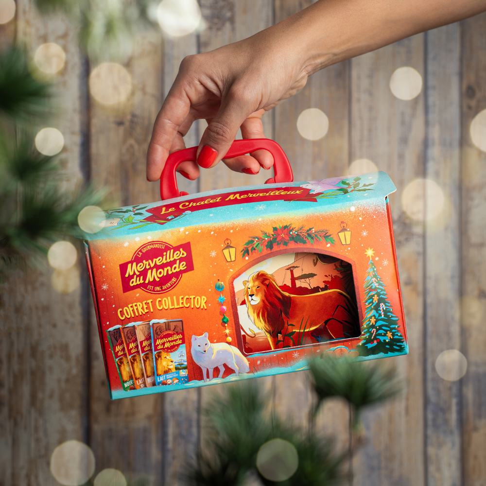 Cadeau de Noël, jolie boîte collector et tablettes de chocolat