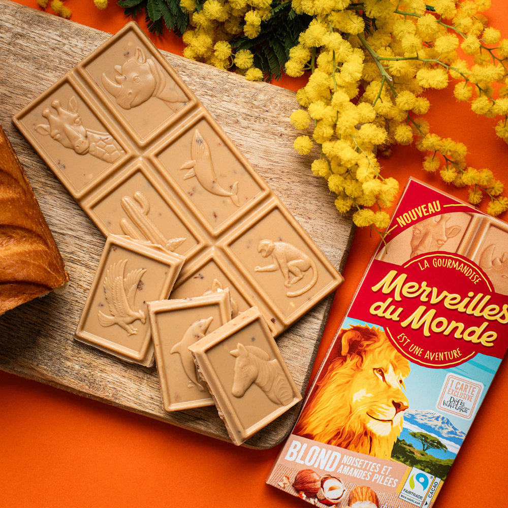 Tablettes chocolat blond noisettes et amandes, avec mimosa à côté.