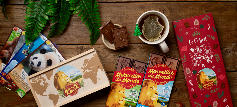Tablettes de chocolat Merveilles du Monde, coffret de Noël avec thé et boîte de rangement en bois pour cartes à collectionner